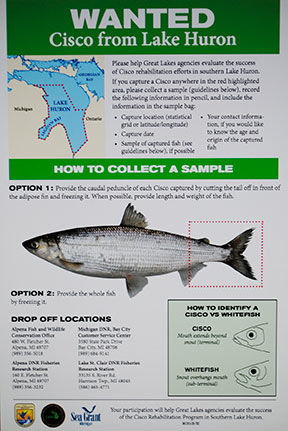 ANGLER ASSISTANCE